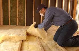 Best Wall Insulation Installation  in Silver Lake, KS