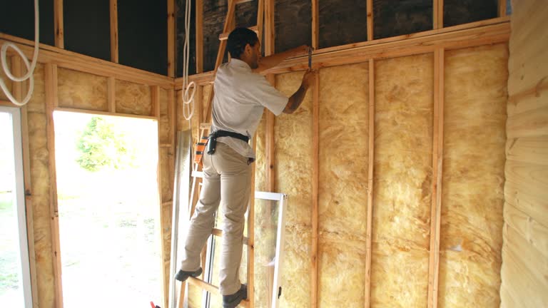 Best Commercial Insulation Services  in Silver Lake, KS