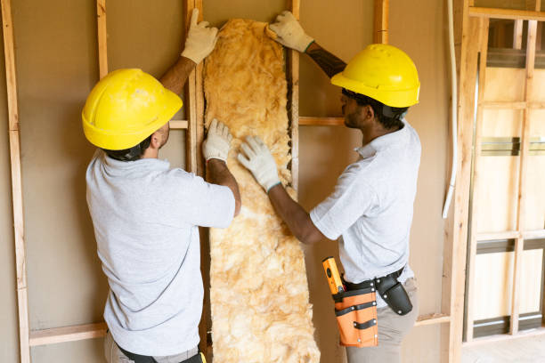 Best Batt and Roll Insulation  in Silver Lake, KS