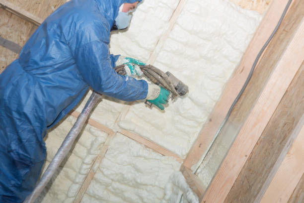 Best Insulation for New Construction  in Silver Lake, KS